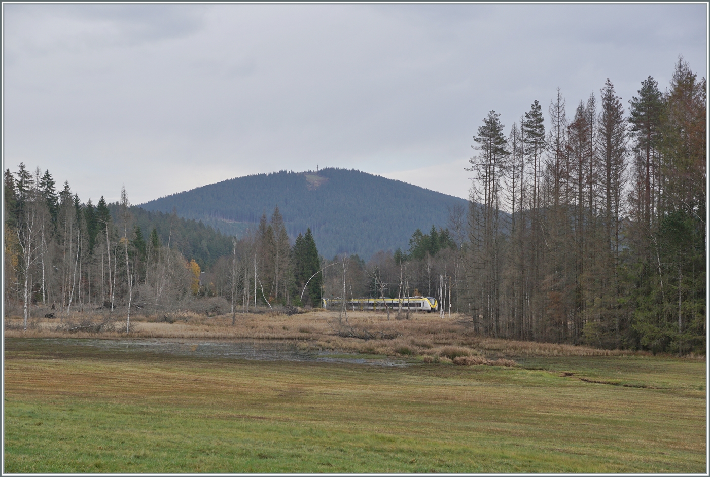 Zwei  Grisekatzen  (BR 440 - Coradia Continental 2) sind in einer skandinavisch anmutenden Landschaft kurz vor Titisee unterwegs. Im Hintergrund ist der Feldberg zu sehen. 

14. November 2022