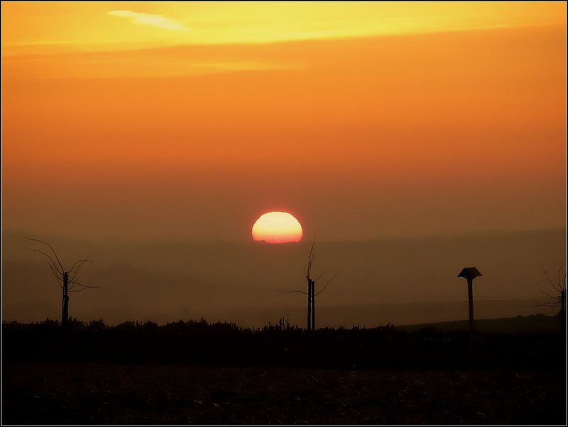 An schnen klaren Wintertagen sind die Sonnenuntergnge beeindruckend. 29.01.09 (Hans)