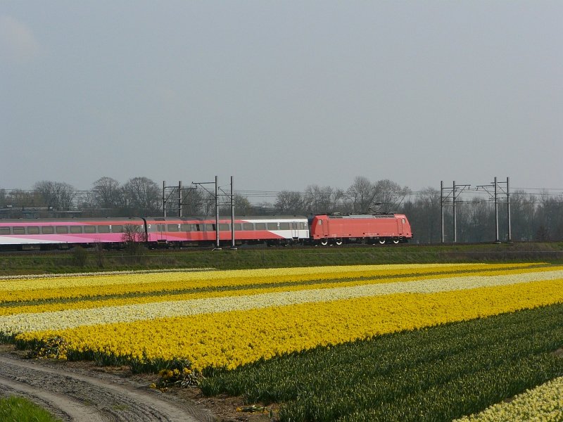 Auch in Frhling fahrt NS Hispeed von Amsterdam nach Brussel 05-04-2009.