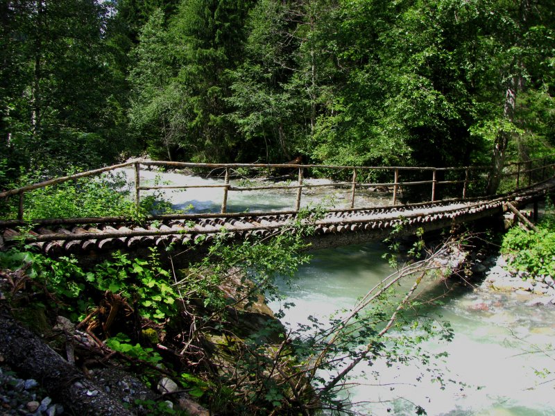 Auch ich bin ein Landwasserviadukt. Dieser Holzsteg im Lnadwassertal hat zumindest fr mich genau so viel Charme wie sein grosser Bruder. (19.Juli 2009)