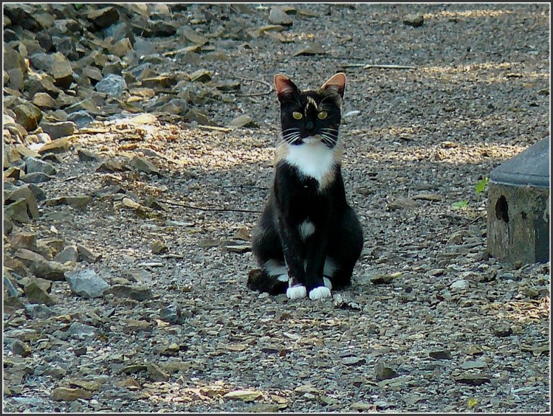 Gefhrlicher Spielplatz. 06.08.09 (Hans)