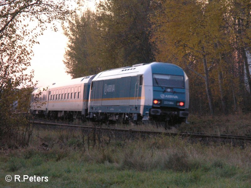 Geschoben wird der Test-Alex von 223 064. Wiesau Oberpfalz 05.11.07