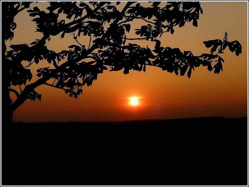 Sonnenuntergang am 21.04.09. (Jeanny)