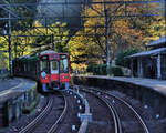Der Nankai-Konzern, Partnerbahn der MOB: Das Herbstlaub in der kleinen Station Shimo Kosawa leuchtet bunt über dem Zug 2304, der unterwegs zum Kôya-san ist.