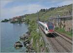 Ein FLRT, bzw. zwei; ein Motiv welches kaum Aufmerksamkeit erregt, Trotzdem habe ich abgedrückt und zeige das Bild, denn der SBB R3  24345 von Vallorbe nach Bex fährt kurz nach Rivaz im Wechselbetrieb auf dem rechten Gleis und die FLIRT EVO ...