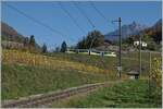 Der TPC ASD ABe 4/8 472 ist in den Weinbergen oberhalb von Aigle auf dem Weg nach Aigle. 

2. Nov. 2024