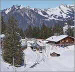 Blick auf den nun umgebauten Bahnhof von Winteregg. Die Bahnsteige und Bahnsteigzugänge wurden erneuter sowie ein kleines Abstellgleis abgebaut - dies sind die auf den ersten Blick erkennbaren Unterschiede. Auch in technischer Hinsicht dürf ...