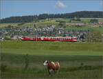 150 Jahre Emmentalbahn. 

Frosch und Wildsau der CJ sind auf diesem Zug lngst wieder verschwunden, der Emmentaler RBDe 566 222 ist wieder daheim und strahlt im RM-Rot. Hier kommt er die Rampe von Grohchstetten (im Hintergrund) nach Konolfingen r ...