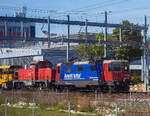 Die SBB Cargo Re 4/4 II – 11228  / Re 420 288-3  „Avanti Tutta! / Vorwärts.“ (91 85 4420 288-3 CH-SBBC) steht am 11 September 2023, bei Bern. An (hinter) der Re 4/4 hängen: Die Am 841 018-5 (Am 92 85 8 841 018-5 CH-SBBI) d ...