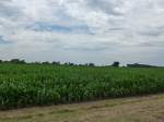 (152'601) - Landschaft bei Union am 11.