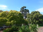 (190'370) - Im Queen Victoria Garden am 19.
