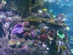 (190'418) - Im Sea Life am 19.