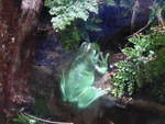 (190'454) - Im Sea Life am 19.