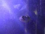 (190'468) - Im Sea Life am 19.