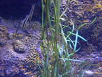 (190'492) - Im Sea Life am 19.
