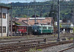 150 Jahre Emmentalbahn. 

Der Wellensittich Be 4/4 761 auf dem Weg zum nahegelegenen Depot Oberdorf. Burgdorf, Mai 2025.