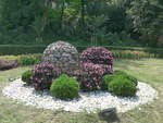 (207'243) - Blumenschmuck am 4.