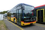 (281'162) - PostAuto Wallis - (146'520) - eMercedes am 10.