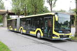 Landbus Unterland, Dornbirn - BD 16'014 - MAN am 15. Juni 2024 in Bregenz (Aufnahme: Martin Beyer)