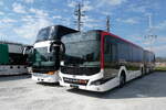 (285'655) - RVBW Wettingen - Nr. 176 - MAN (ex AHW Horgen Nr. 612) am 21. M�rz 2026 in Kerzers, Murtenstrasse