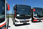 (286'405) - RVBW Wettingen - Nr.  176 - MAN (ex AHW Horgen Nr. 612) am 25. April 2026 in Kerzers, Murtenstrasse