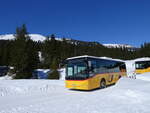 (272'594) - Flck, Brienz - Nr. 27/BE 868'727/PID 11'669 - Iveco am 2. Mrz 2025 bei der Grossen Scheidegg