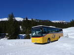 (272'595) - Flck, Brienz - Nr. 25/BE 868'725/PID 11'594 - Iveco am 2. Mrz 2025 bei der Grossen Scheidegg