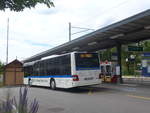 (217'696) - ATE Bus, Effretikon - Nr.