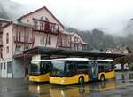 (256'839) - Flck, Brienz - Nr.