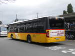 (269'760) - SB Trans, Sursee - Nr.