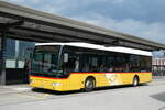 (280'311) - TpM, Mesocco .