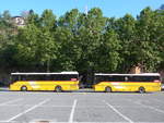 (208'495) - PostAuto Wallis - VS 241'967 - Setra (ex Zerzuben, Visp-Eyholz Nr.