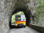 (277'466) - Lambach, Gommiswald - NW 24'301 - FBW/Eggli (ex Tanner+Lambach, Reigoldswil; ex Lambach, Rieden; ex Meier, Grt; ex AVG Grindelwald Nr.