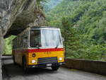 (277'469) - Lambach, Gommiswald - NW 24'301 - FBW/Eggli (ex Tanner+Lambach, Reigoldswil; ex Lambach, Rieden; ex Meier, Grt; ex AV Grindelwald Nr.
