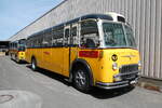 (286'601) - Wegm�ller, Attikon - ZH 21'783 - FBW/Gangloff (ex P 24'037; ex P 21'537) am 2.