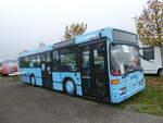 (268'634) - Spangler, Pttmes (ECM) - W 023 HH - Mercedes am 26. Oktober 2024 in Kintzheim, Cigoland