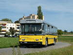 (255'324) - Wanner, Schleitheim - SH 48'096 - Saurer/Hess (ex Ruklin, Schaffhausen; ex VBSH Schaffhausen Nr.