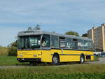 (255'326) - Wanner, Schleitheim - SH 48'096 - Saurer/Hess (ex Ruklic, Schaffhausen ; ex VBSH Schaffhausen Nr.