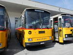 (266'347) - Schmid, Thrishaus - BE 26'206 - Saurer/Tscher (ex P24'244) am 31. August 2024 in Oberkirch, CAMPUS Sursee