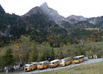 (268'047) - Schmid, Thrishaus - BE 26'206 - Saurer/Tscher (ex P 24'244) am 12.