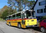 (268'435) - Schmid, Thrishaus - BE 26'206 - Saurer/Tscher (ex P 24'244) am 25. Oktober 2024 in Bottmingen, Astershagstrasse