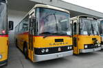 (279'756) - Stolz, Niederbren - SG 452'875 - Saurer/R&J (ex Soltermann, Bichwil; ex Ziegler, Pratteln; ex Tanner, Bubendorf; ex Schnider, Schpfheim) am 30.
