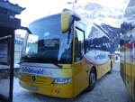 (271'294) - GrindelwaldBus, Grindelwald - Nr.