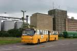 In Ungarn bilden die IKARUS Busse das Rckgrat im Nahverkehr.
Dieser moderne Gelenkbus stand am 29.08.2005 sehr fotogen auf dem
Bahnhofvorplatz in Mezkvesd.