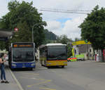 Der Mercedes Citaro G Nr.