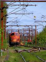 Captrain/Railcare Litra MY 1122 festgehalten während einer kurzen Rangierfahrt im Gbf Padborg.