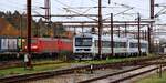 Sie rosten schon seit längerem in Padborg rum...zwei DSB MR/MRD Dieseltriebwagen (40/4237 + 40/42xx) abgestellt am DBCSC Gebäude. 27.11.2022