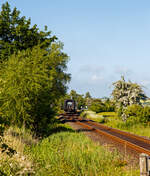 Die DSB Gumminase bzw.