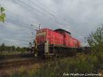 294 602 in Delitzsch am 27.8.15