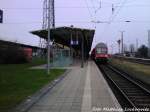 Am 3.2.13 steht 143 843-1 Mit Dosto-Wagen Als S1 mit Ziel Rostock Hbf im Bahnhof Warnemnde